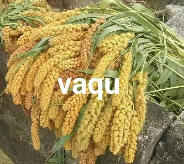 457743200_9016048925089296_5944742459395307331_n