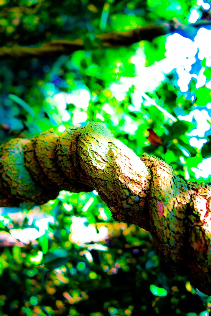 003DSC07145