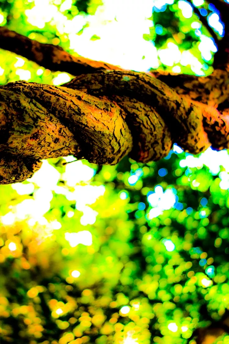 005 DSC07218