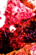 006DSC07149