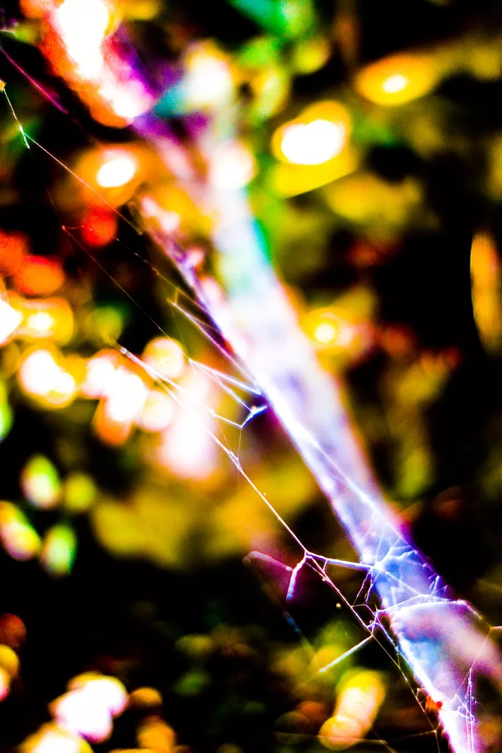 010 DSC07198