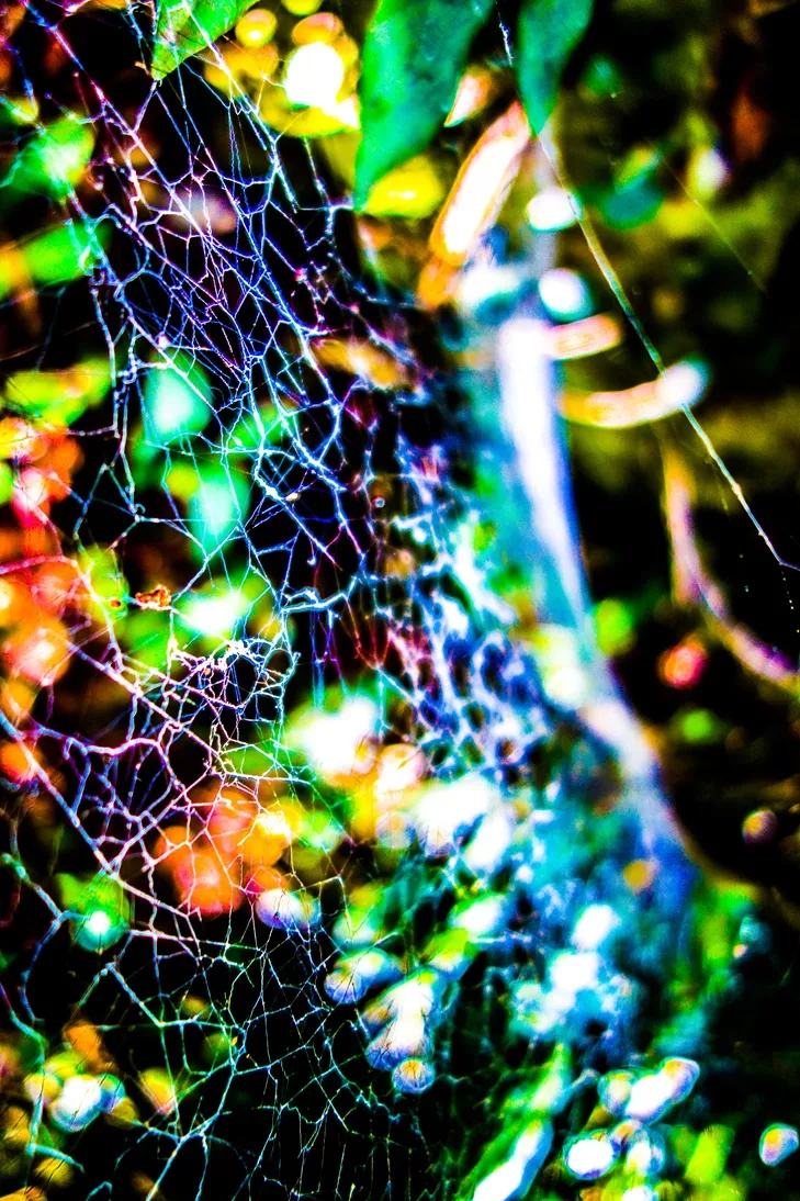 013 DSC07208