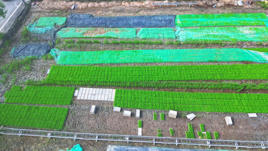 DJI_0824