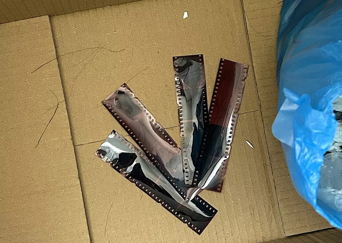 S__54837317拷貝
