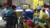 b34cc5c0-8f67-44c9-875a-61a48d09c7cd.jfif1_.jpg2_