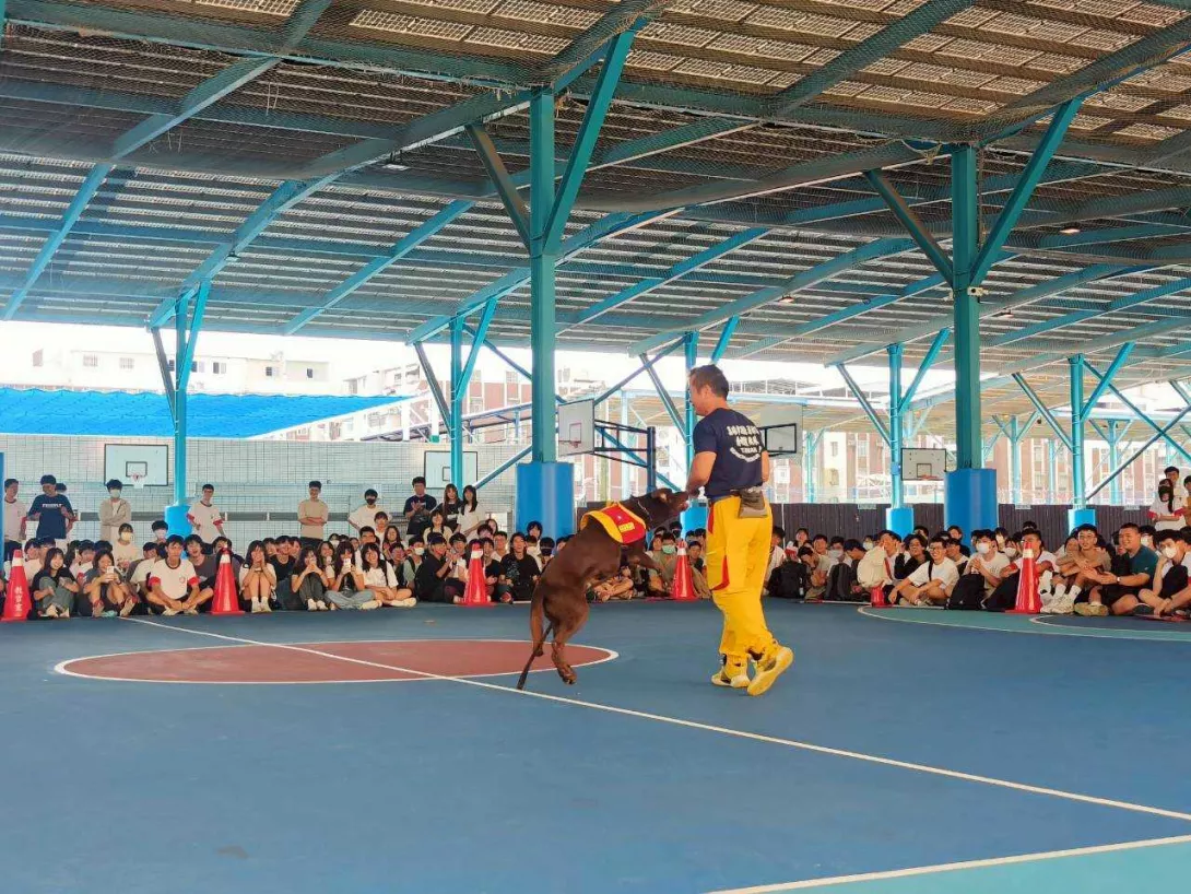 搜救犬搜救演練