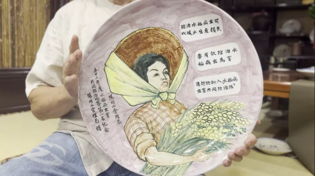 豐收女郎