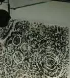 545553736_1319916602917975_5830416071597367631_n.jpg1_