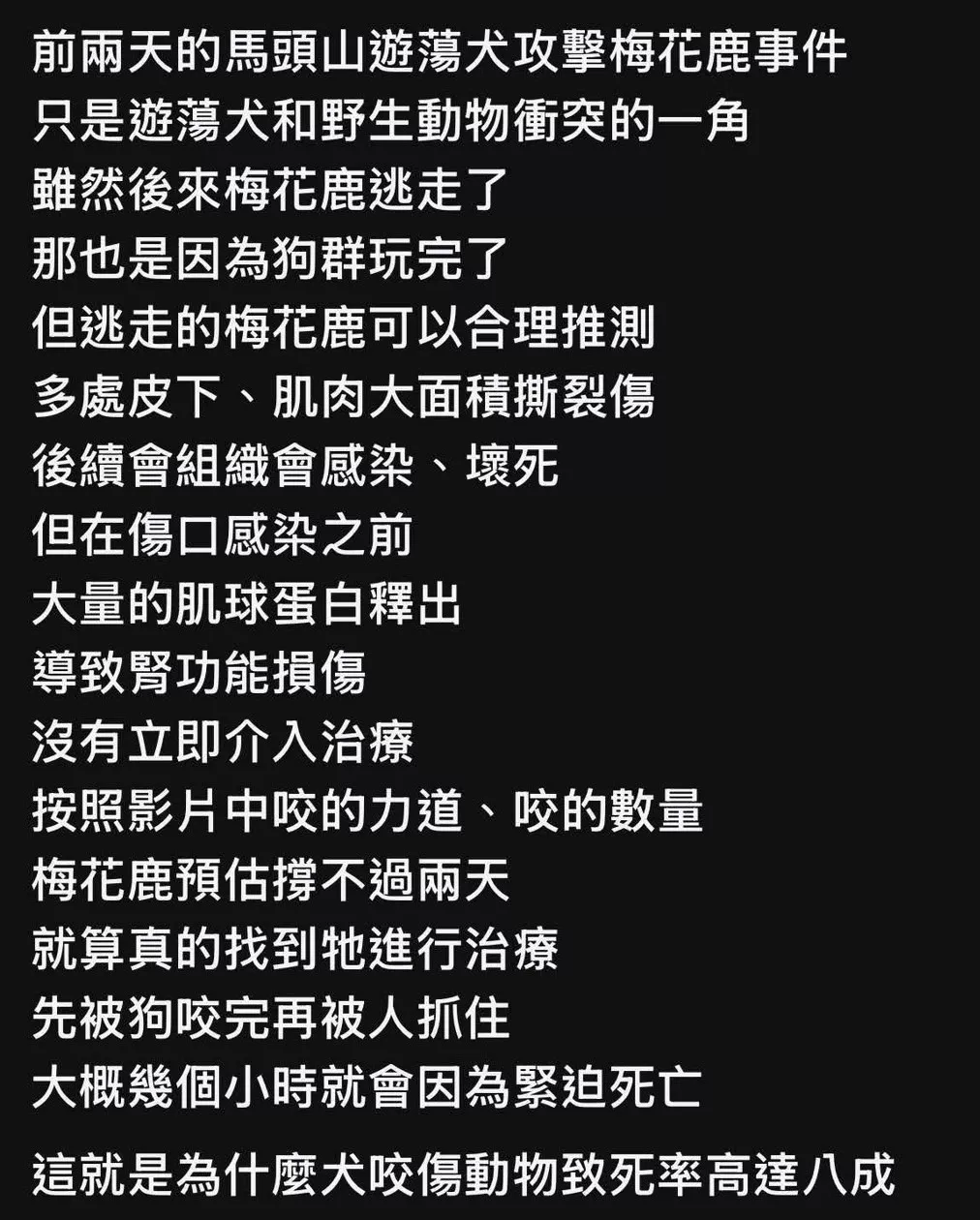 獸醫師說明犬傷之後果