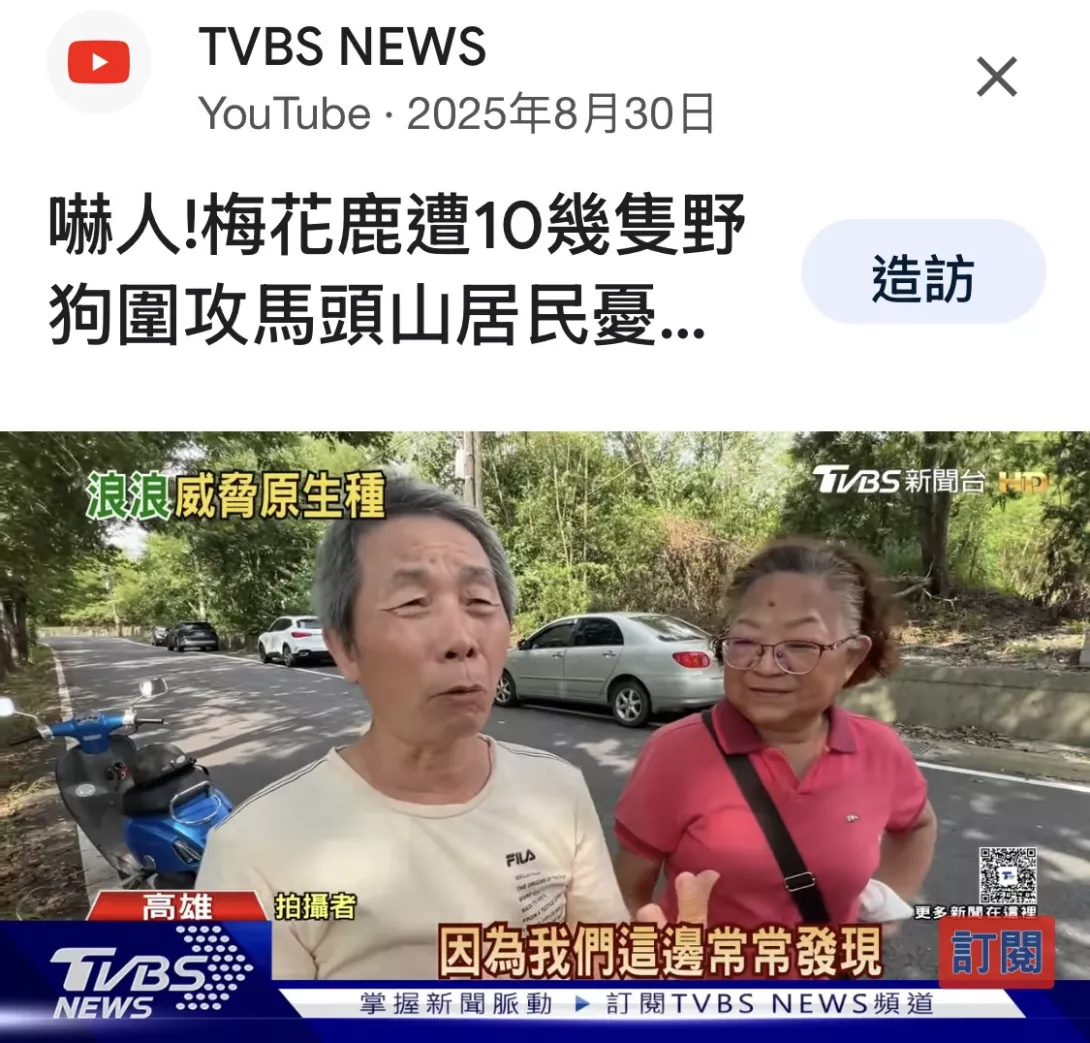 拍攝者接受TVBS採訪