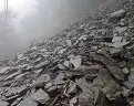 images.jpg10