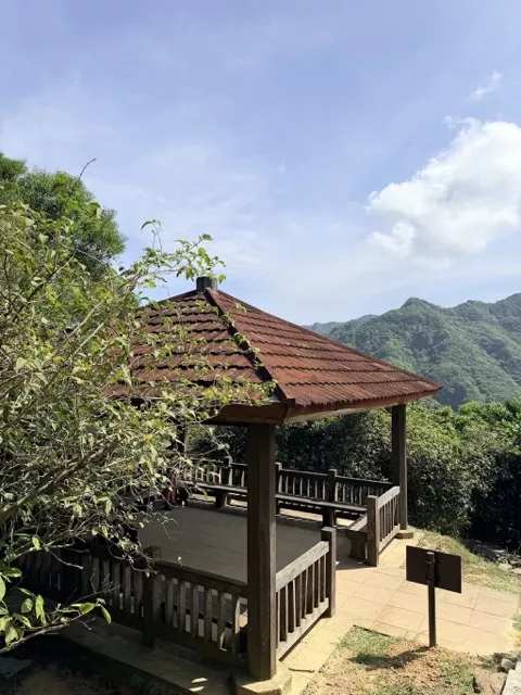 中IMG_5587