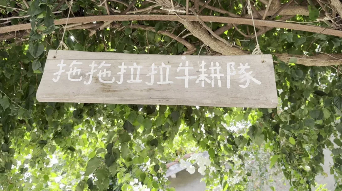 圖9