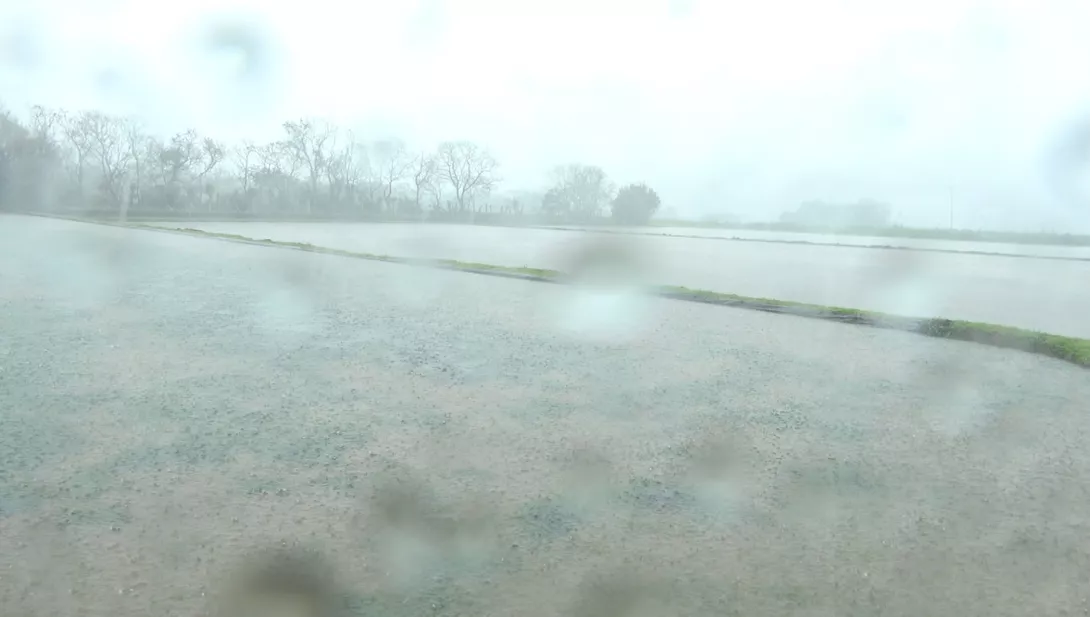 大雨中的田