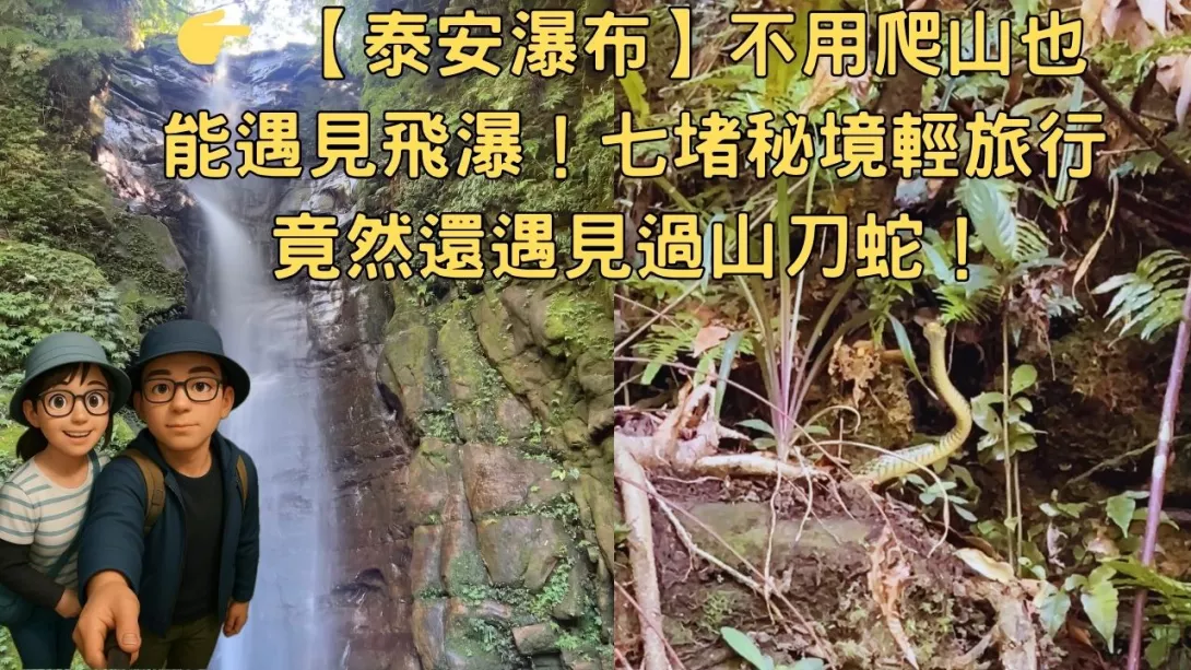 👉 【泰安瀑布】不用爬山也能遇見飛瀑!七堵秘境輕旅行竟然還遇見過山刀蛇!