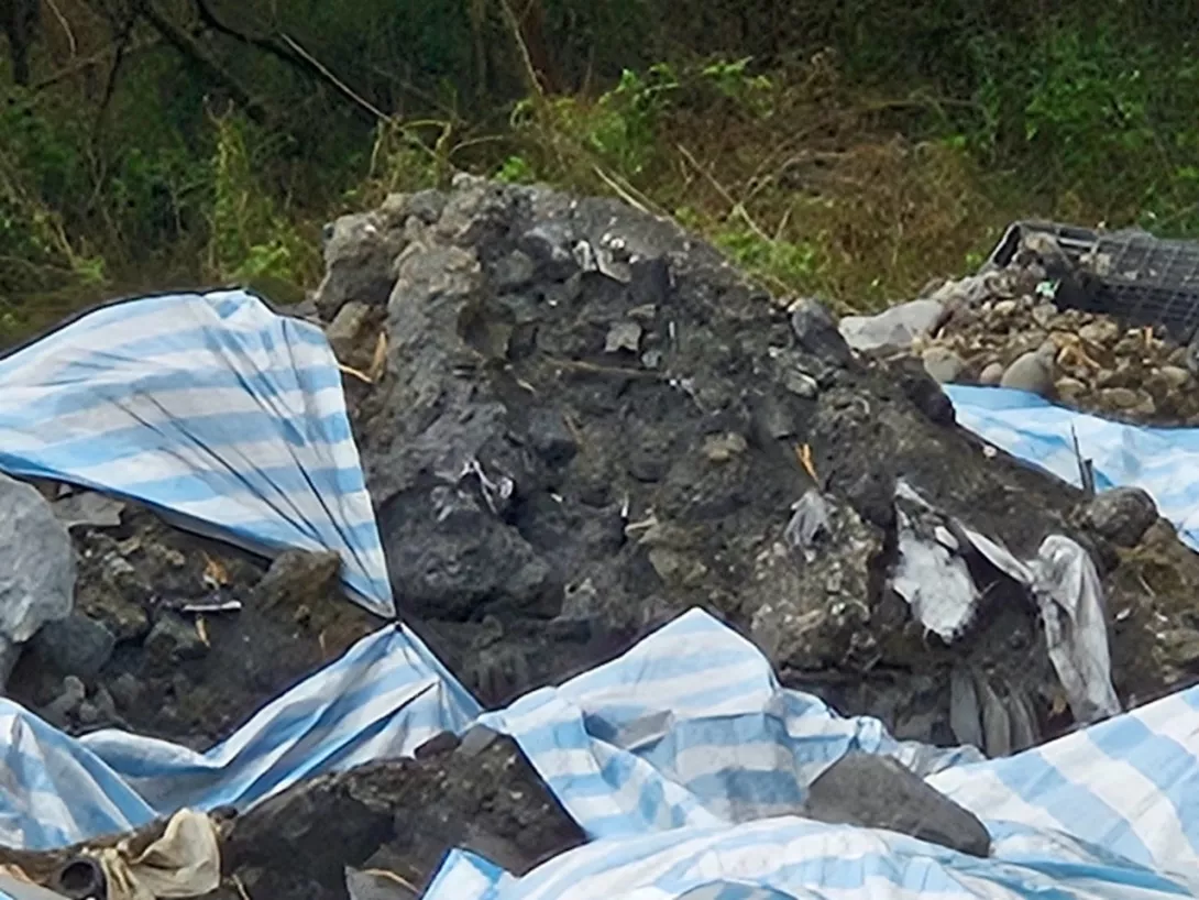 LINE_ALBUM_2025319環境22馬頭山公民體驗之旅_250331_124