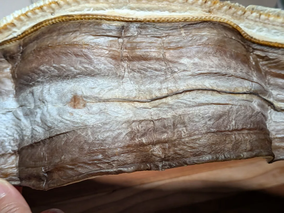 PXL_20250929_081340477
