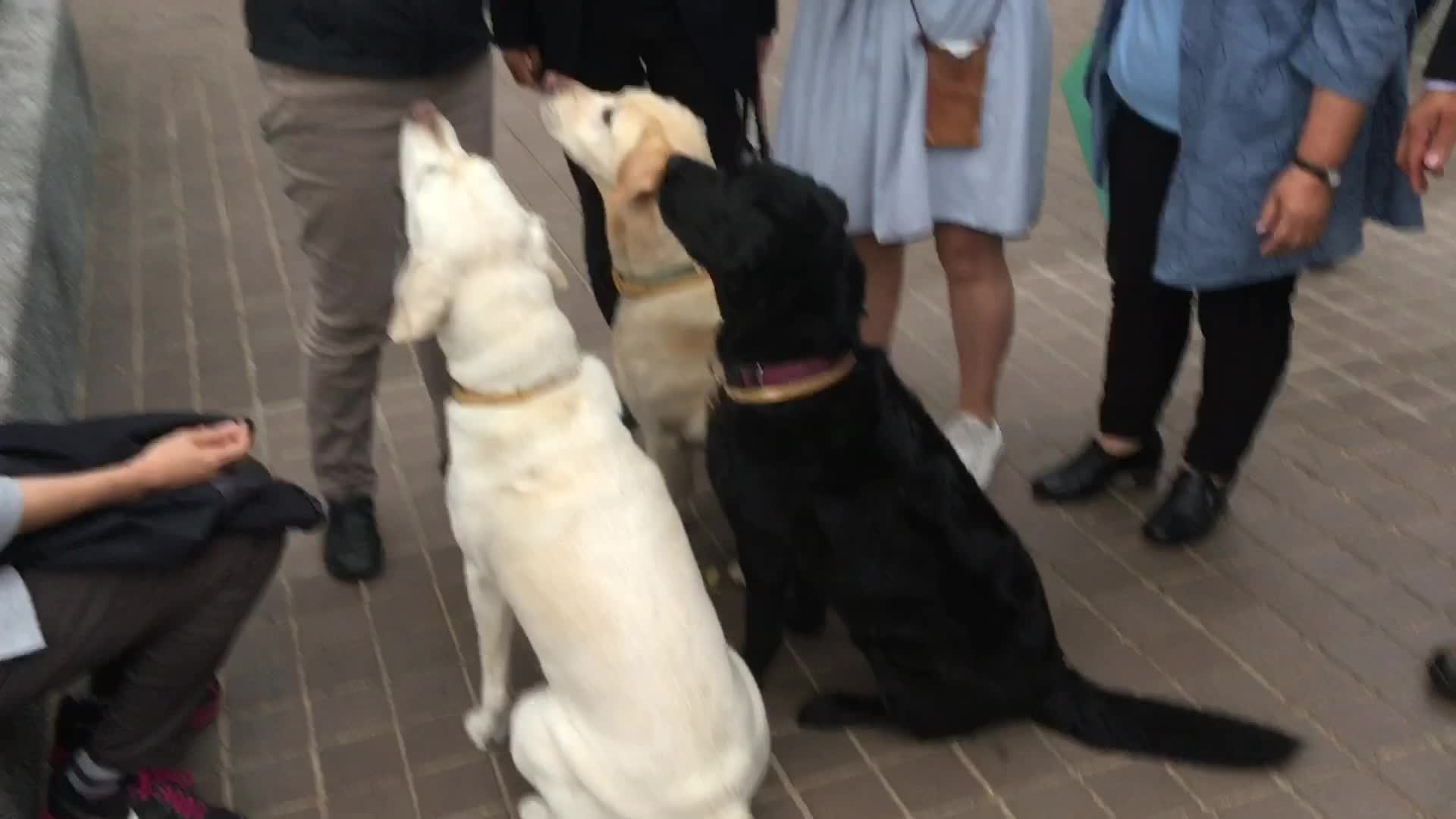 微觀察》環團眼中的蔡總統官邸| PeoPo 公民新聞