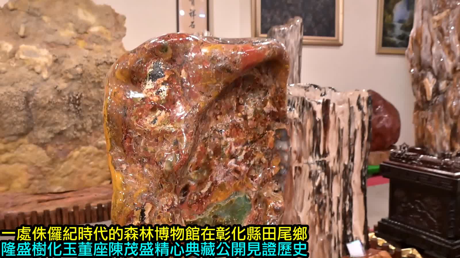 隆盛木化石博物館陳茂盛董事長揭開神奇地球史，侏儸紀時代的樹木
